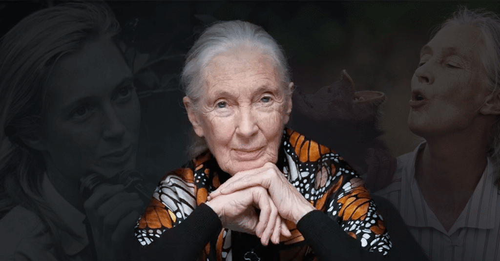 Jane Goodall